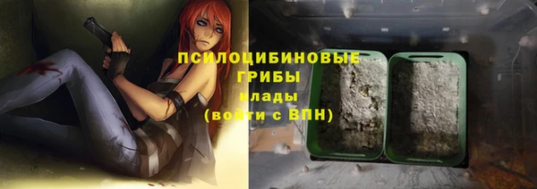 дживик Киренск