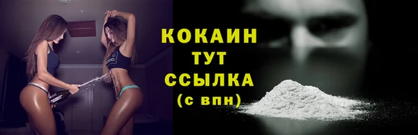 молекула духа Козловка