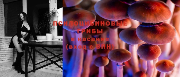 дживик Киренск