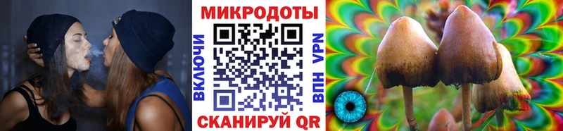 Галлюциногенные грибы Magic Shrooms  Купить закладки  Завитинск 
